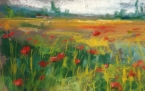 mohnfeld bei priay, acryl lwd, 50x40cm, pré de coquelicots vers priay